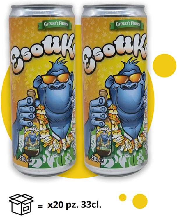 esotikong_ok