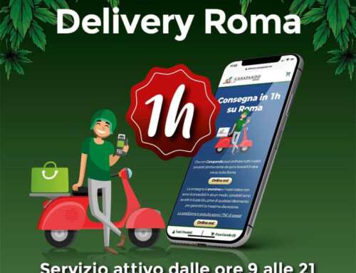 Canapando® Delivery: il CBD a casa tua!