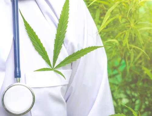 CBD e Terapie Antitumorali: supporto naturale per i pazienti oncologici 