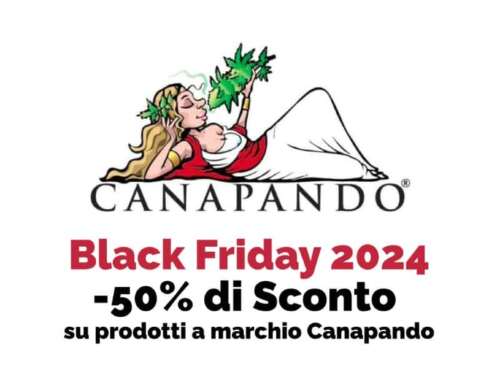 Black Friday Canapando: Giornata di Sconti Esclusivi