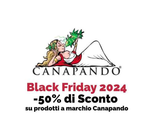 Black Friday Canapando: Giornata di Sconti Esclusivi